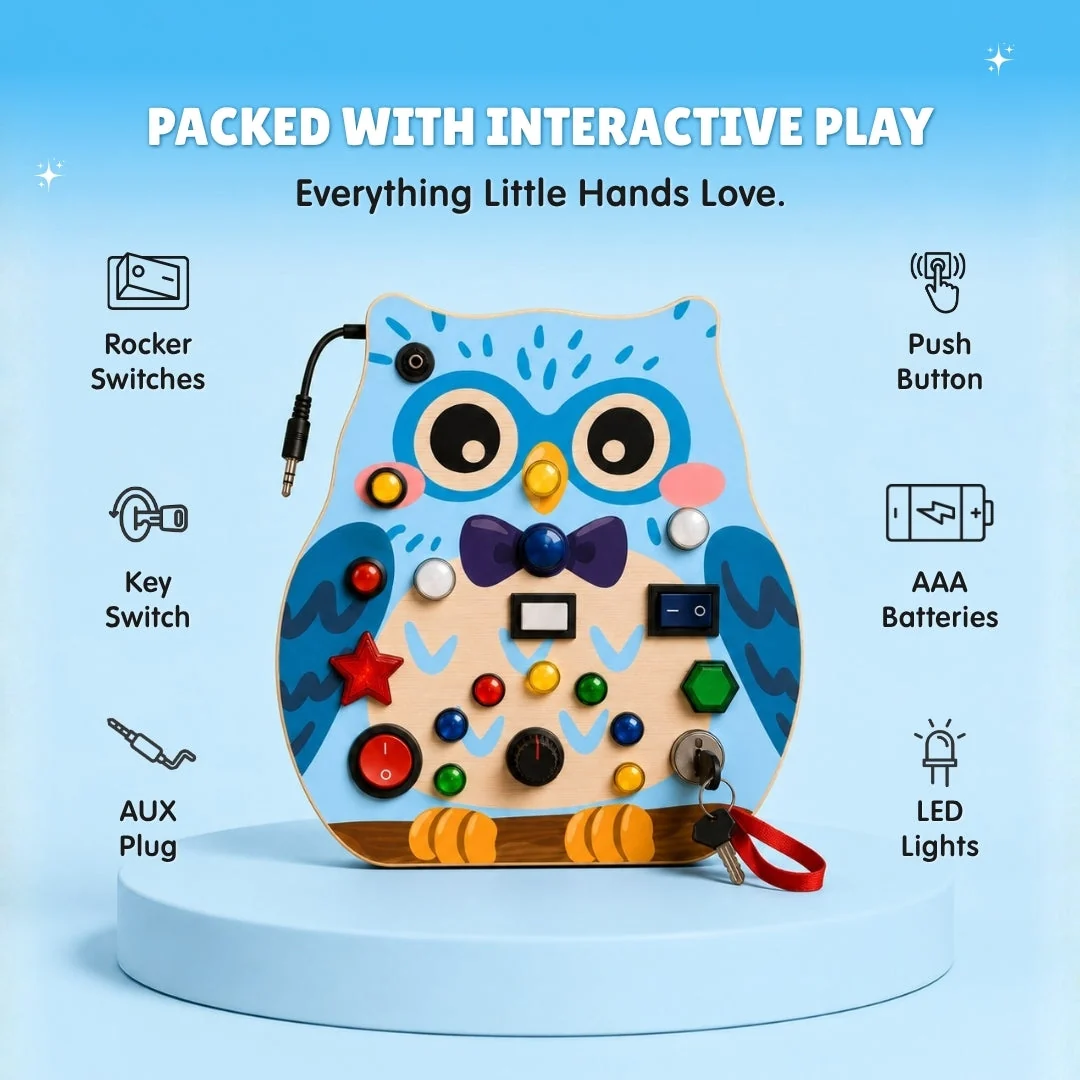 Owly board features: rocker switches, key switch, AUX plug, push buttons, AAA batteries and LED lights